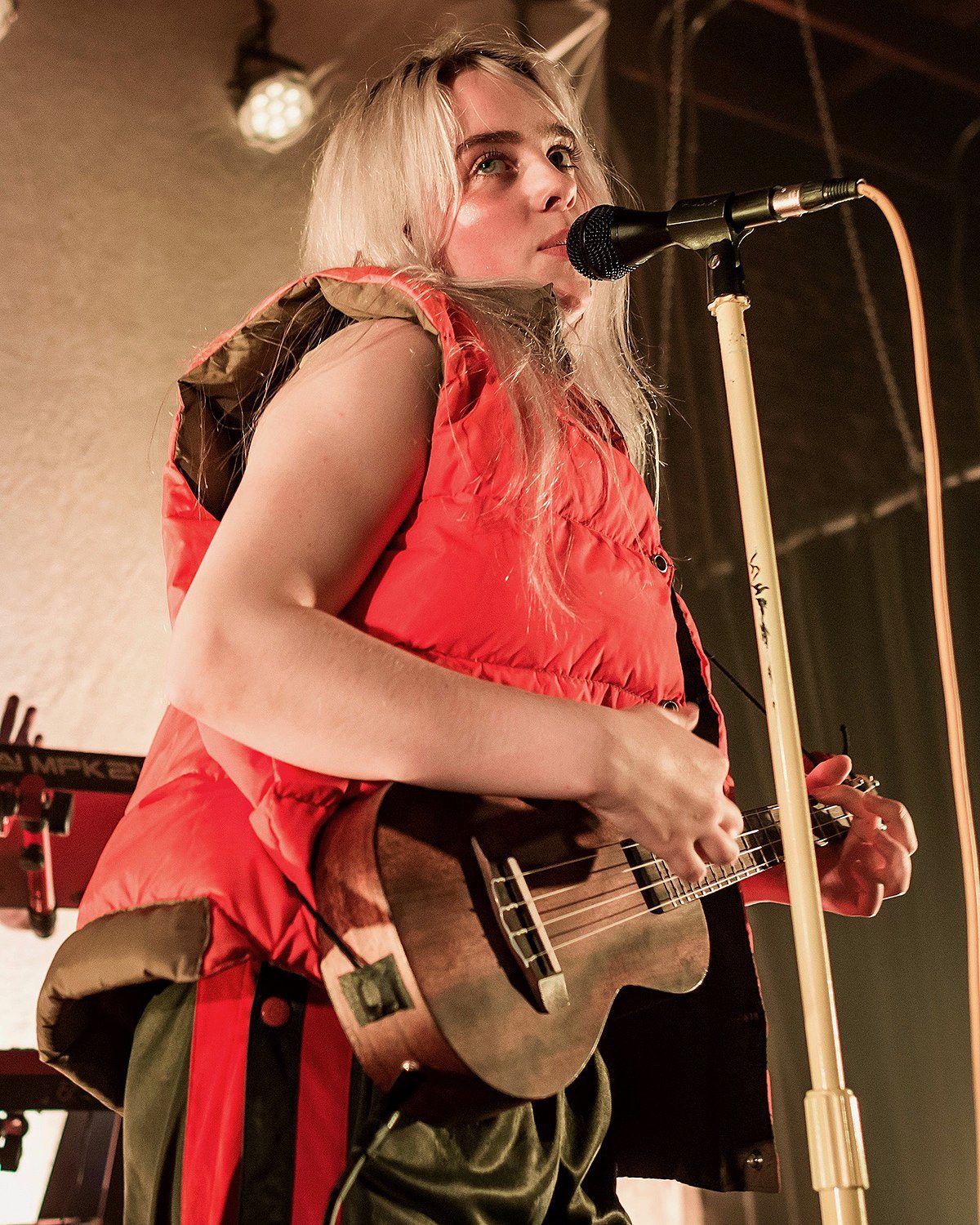 Qué tipo de género son las canciones de Billie Eilish 3 Billie Eilish tocando música en concierto