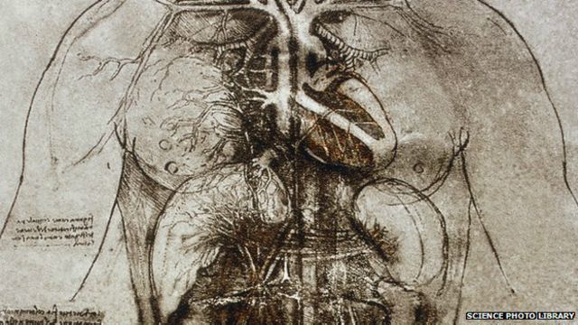 Cuáles fueron los aportes de Leonardo da Vinci a la física 20