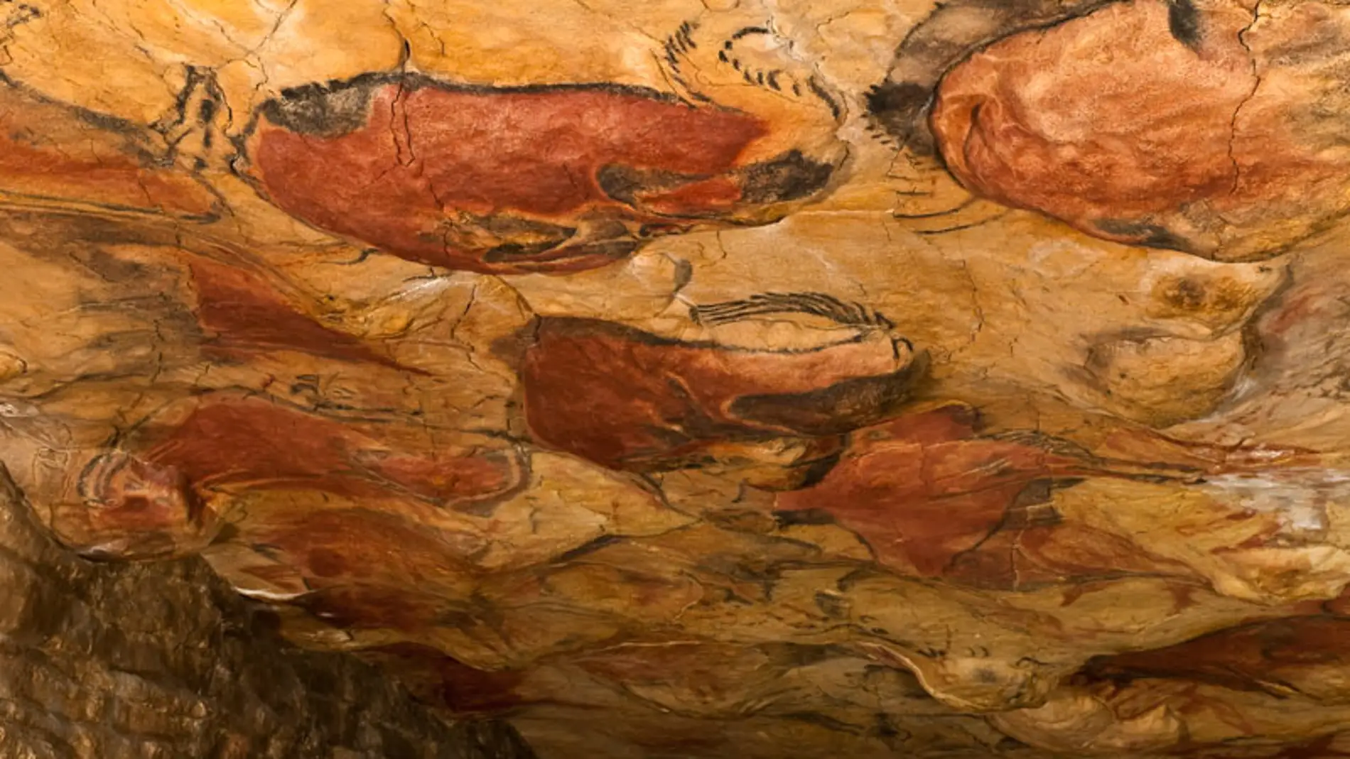 Qué son las pinturas rupestres y cuál era su función 5 Pinturas rupestres prehistóricas en cueva