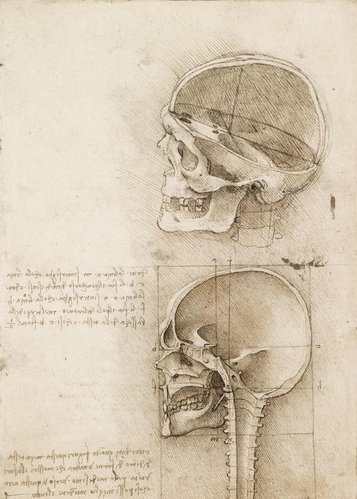 Leonardo da Vinci bocetos no realizados