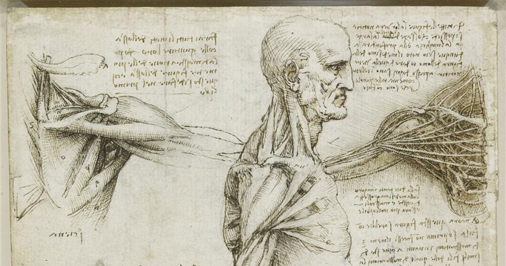 Cuál es el invento más importante de Leonardo da Vinci 20 Da Vinci 2