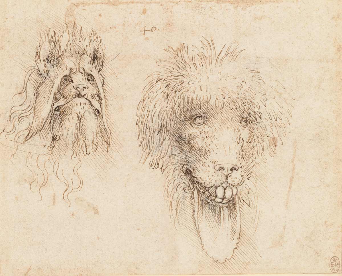 Da Vinci: Orígenes y Vida del Genio Renacentista 4 Leonardo Da Vinci bocetos desconocidos