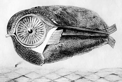 Qué tecnica surrealista introdujo Max Ernst 7