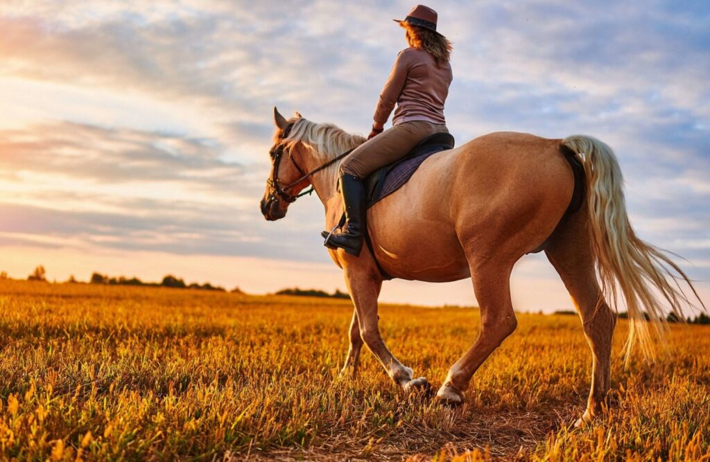 a caballo