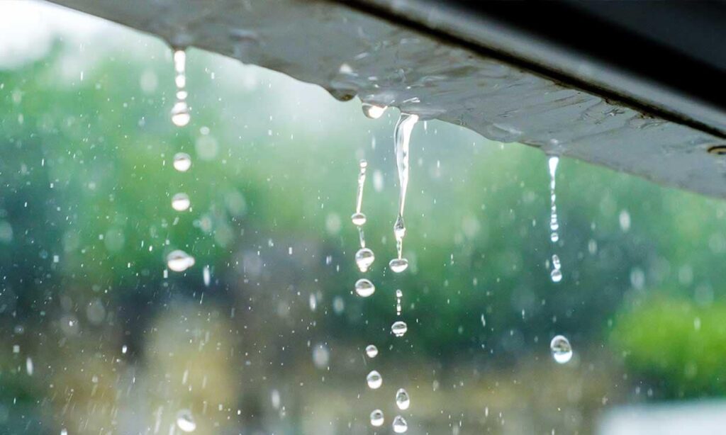 Cómo podemos ayudar al cuidado del agua con acciones simples 10 agua lluvia