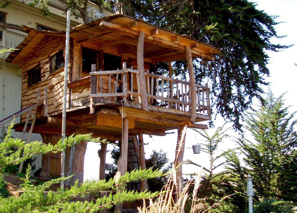 casa arbol