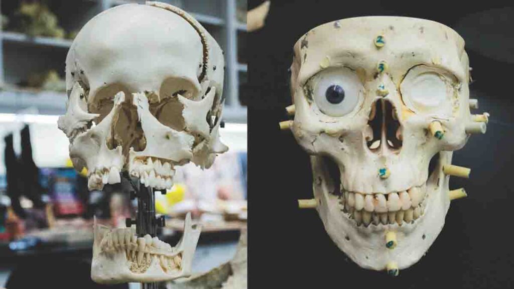 ciencias forenses