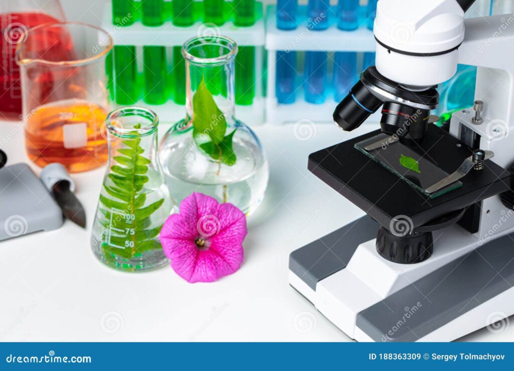 cierre de una hoja planta sobre diapositiva vidrio en un microscopio concepto biotecnologia ensayo 188363309