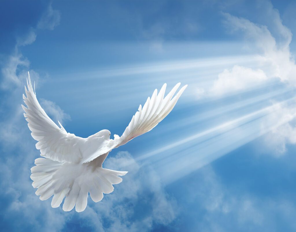 Cuáles son los mejores sermones sobre el Espíritu Santo 21 espiritu santo 2