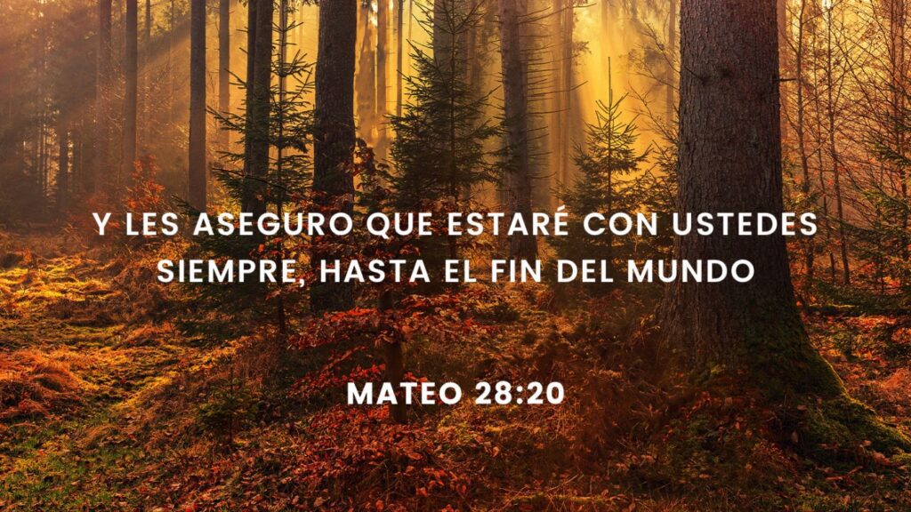 Qué significa estaré con ustedes hasta el fin del mundo"
