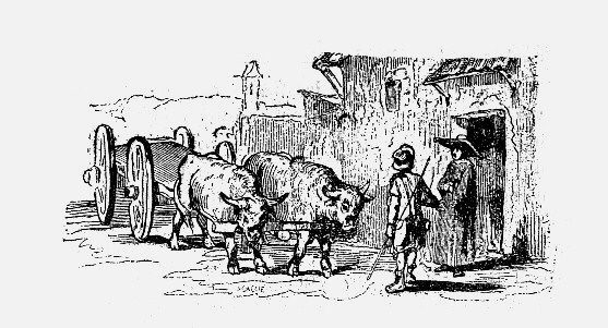 Don Quijote pensativo en un campo