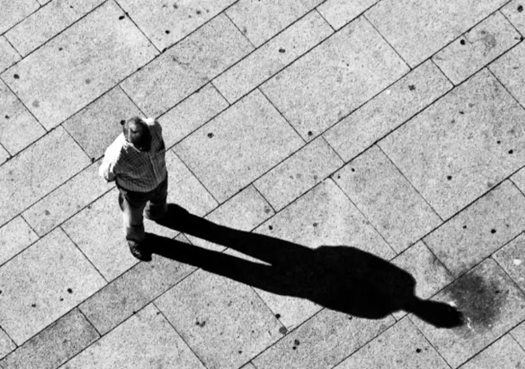 De qué trata La Sombra del Viento" de Carlos Ruiz Zafón" 19 la sombra 1