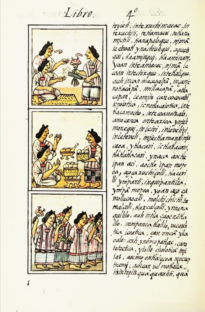 Qué literatura comenzó a desenvolverse en Nueva España 20 lossy page1 800px The Florentine Codex Life in Mesoamerica IV.tiff