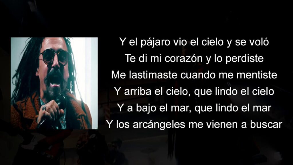 pajaro vio