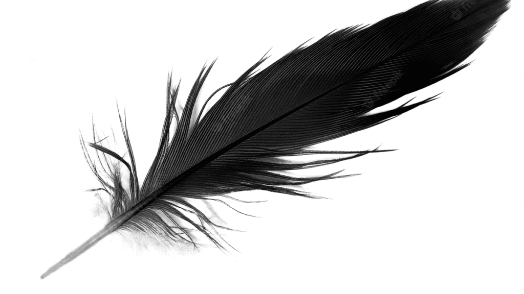 Qué significa encontrar una pluma negra en tu camino 6 pluma negra