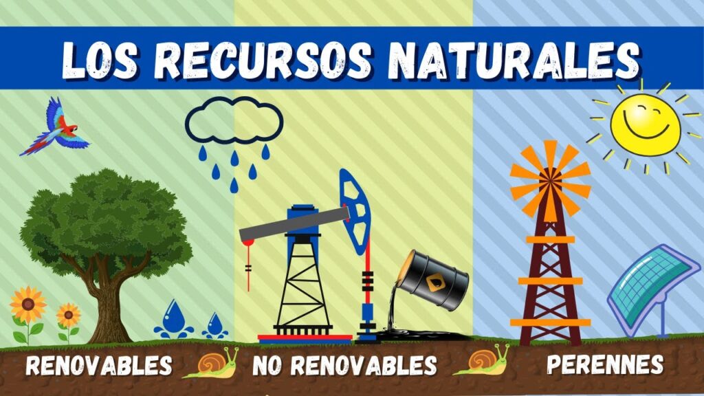 Cómo podemos cuidar los recursos naturales eficazmente 1 recursos naturales