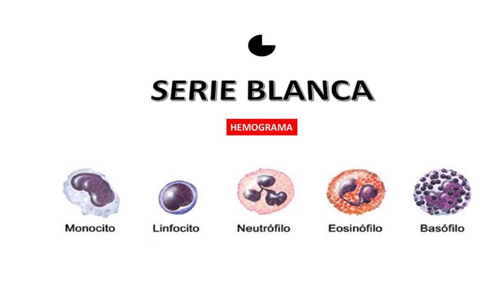serie blanca