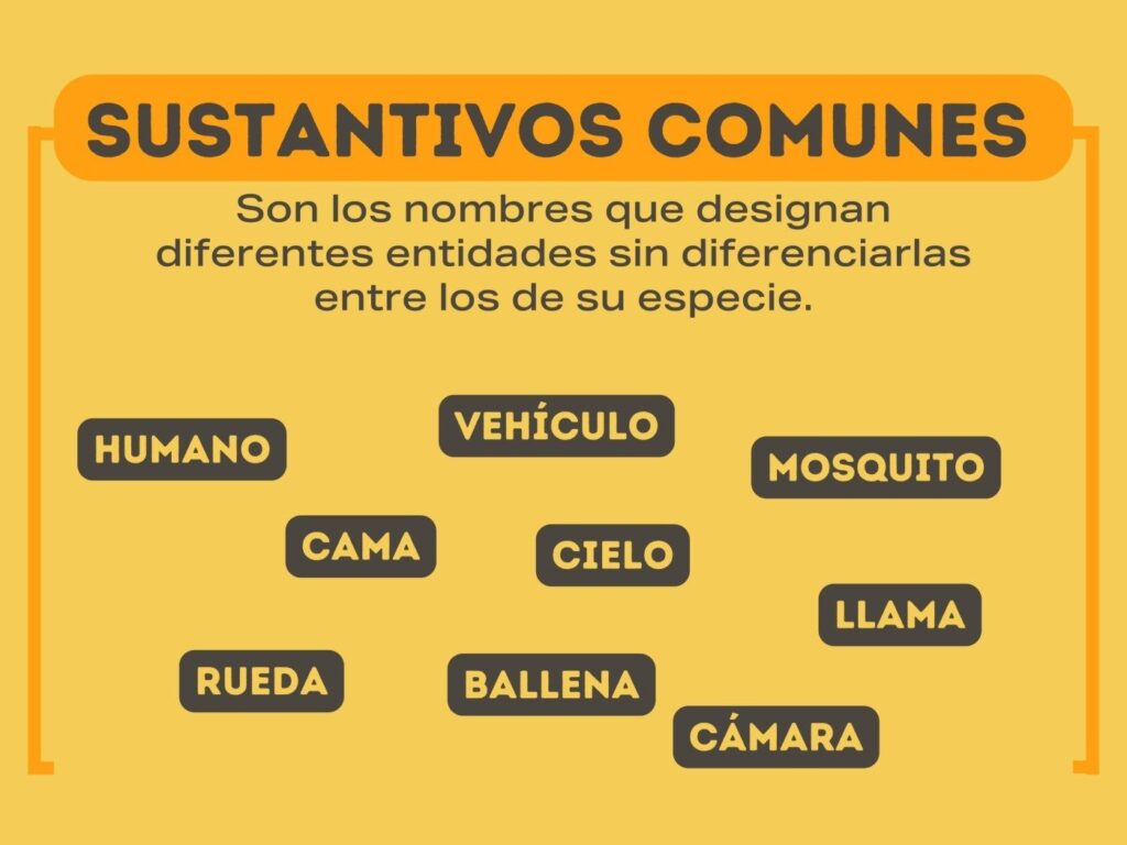 sustantivos comunes