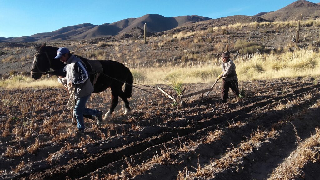 tierras labrar