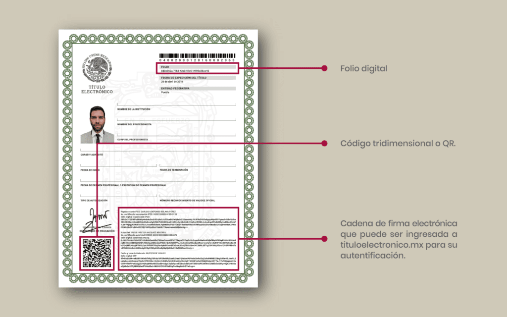 Es legal circular solo con el título digital del vehículo 10 titulo digital